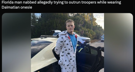 dummest thing on the internet